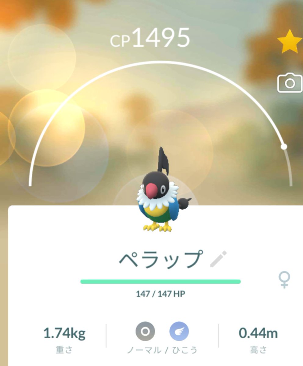 ポケモンgo ペラップの入手方法 能力 技まとめ 攻略大百科 ポケモンgo ペラップの入手方法 能力 技まとめ 攻略大百科