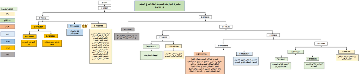 E_m84_results's tweet photo. يسرنا إعلان نتيجة BigY700 عينة علي الأكوع-ذمار
برقم:MI38363
موجبة للتحورات:
E-M84>Y90932>Y110050
يعود نسبهم الى محمد بن ابراهيم (الملقب بالاكوع) الى يعفر الحوالي(نسبة للقيل ذي حوال الحميري).

متكتلة على التحور Y5412 بجوار القبائل الحميرية.
*مرفقة مشجرة للمواريث الحميرية E-Y5412 https://t.co/ZWmotX6R1J