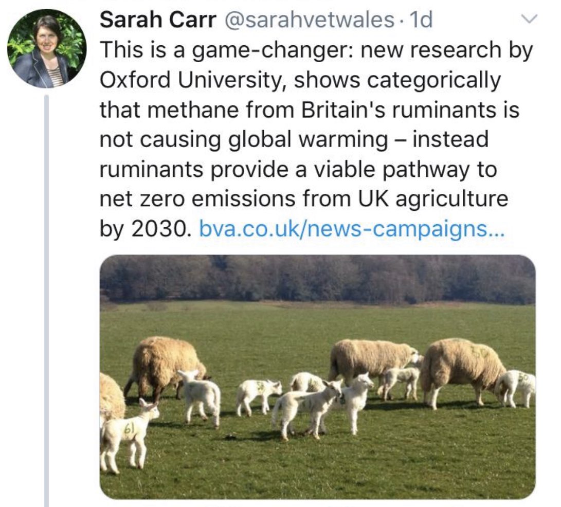 DrAseemMalhotra's tweet image. With what’s happening right now how can anyone deny climate change??

But know this. Eating less meat will make little difference. Don’t be fooled by those that make money from lying to you. The major polluters are the oil and gas industries. bva.co.uk/news-and-blog/…