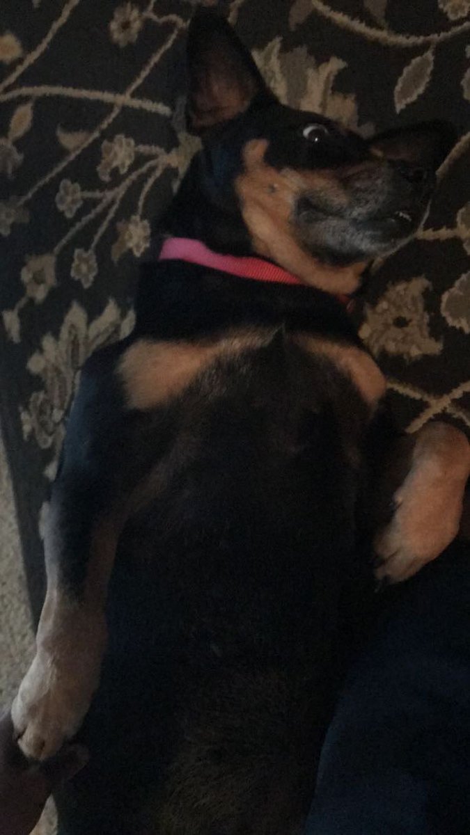 Stormcloud tweet media