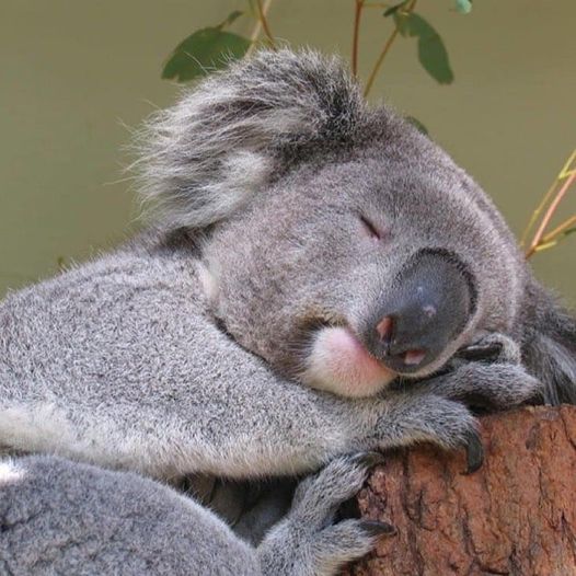 mumyassmatminut's tweet photo. #Bonweekend à tous chers #Mumbers!☀ 🥰#MuMy https://t.co/BzOuDyVdAB
