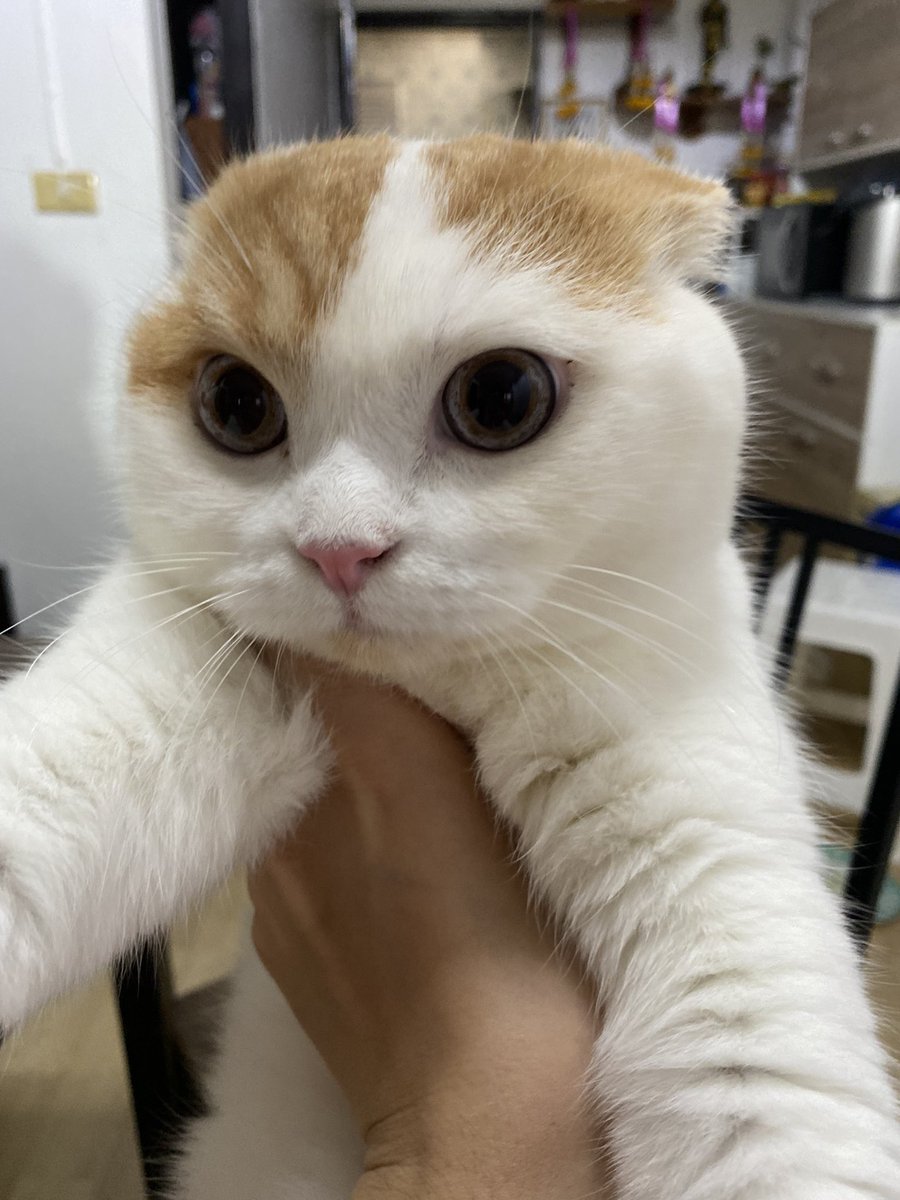 _DNVP2_'s tweet photo. อยากมีแควนน!!! https://t.co/FvpQIHcsUO