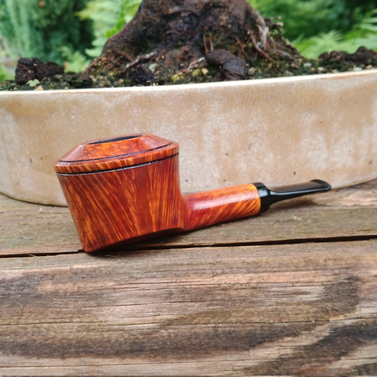 BonsaiPipes's tweet photo. https://t.co/MaCwPFmJwt