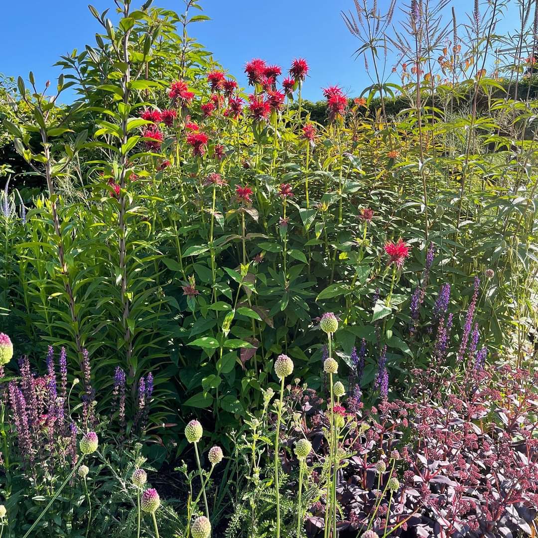 Thank you to everyone who visited our gardens last Sunday.  It was a such wonderful experience opening for the @nationalgardenscheme we are going to do it again Sunday 22 August 2021.  All details on their website!
#opengarden #ngsopengardens #ngscumbria #cartmel #visitcumbria