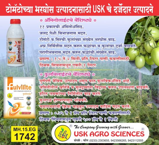 UskAgro's tweet photo. Contact on - 9168691570

#tomato #tomatoplant #tomatocrop #LEAF #leafsize #flowerbud #agriculture #agribusiness #farm #farming #farmer #agro #goodfood #fertilizer #farmers #foodindustry #farmlife #agronomia #horticulture #india #agricultureworldwide #agricultureli https://t.co/jhS2hrh2Sp