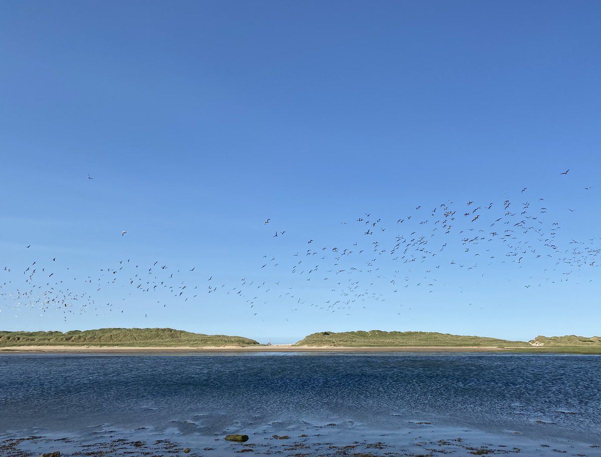 Isle_en_sol's tweet photo. The weather on the Moray coast is amazing today. What a great start to my 12-month artist residency exploring the #MorayWay @CreativeScots @dancenorthscot @MorayWalkFest https://t.co/hKP9MafyGC