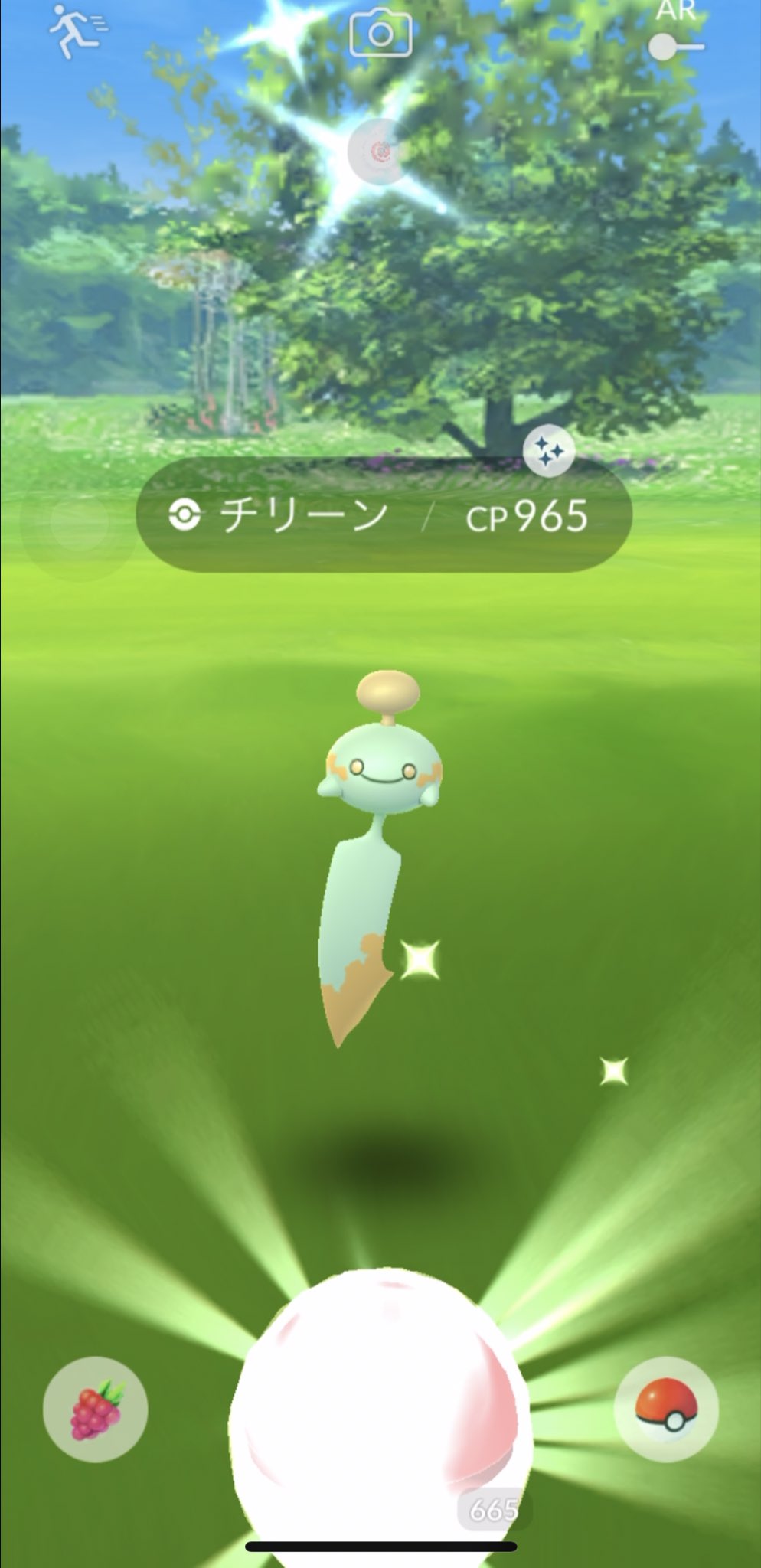 色違いチリーン Twitter Search Twitter