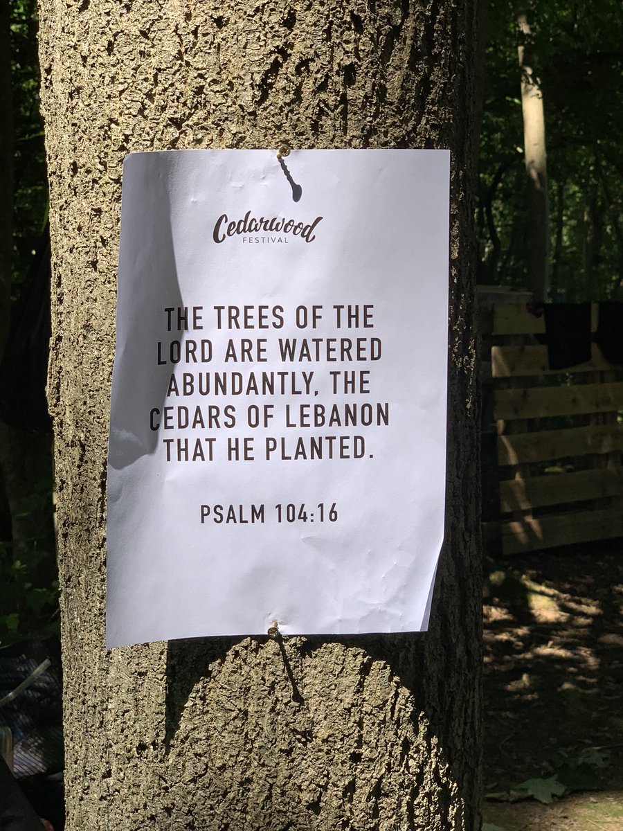 CedarwoodFest's tweet photo. Don’t forget to send us your questions for the Q&amp;A session - we want to connect with you! #CF21HOME #cedarwoodfest #community #worship https://t.co/jy5uxnLkks