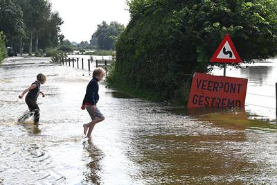 LIVE | ‘Dijken in revisie' langs de Waal versterkt met klei, brandweer redt koe uit wassende water