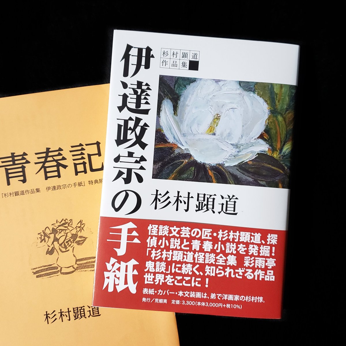 海外限定 伊達政宗の手紙 杉村顕道 8e952cf8 22年最新海外 Www Cfscr Com