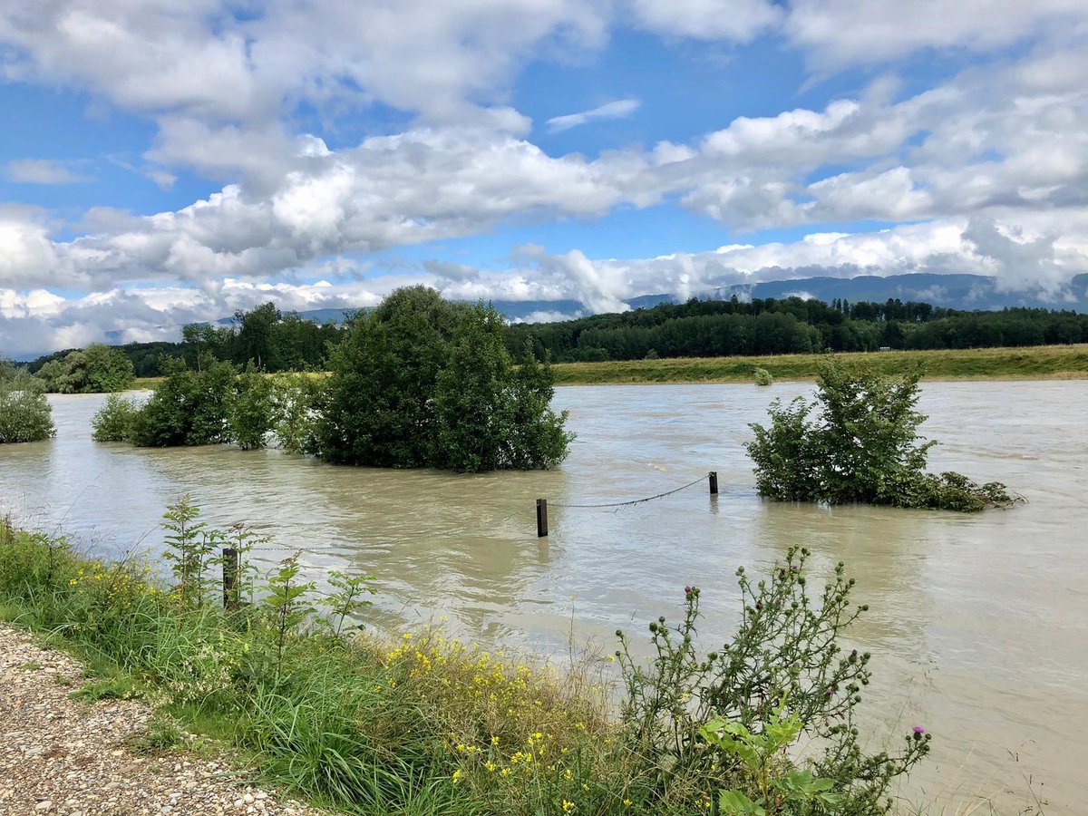 Die Pegel des #Bieler-, #Murten- und #Neuenburgersee sind zu hoch: BAFU und Kantone haben erhöhten Abfluss der Aare aus dem Bielersee beschlossen, um die #Überschwemmungsgefahr zu verringern #Hochwasser #Naturgefahren bafu.admin.ch/bafu/de/home/d…
