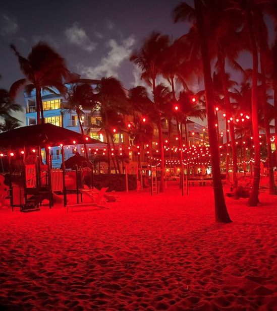 LagoMarResortFL's tweet image. We glow amber to protect the sea turtles that call the beaches of Fort Lauderdale at home. It also creates a wonderful evening ambiance around the property! #mylagomar #seaturtlenesting #fortlauderdalebeach #seaturtleconservation (pic @laurachristinewojo)