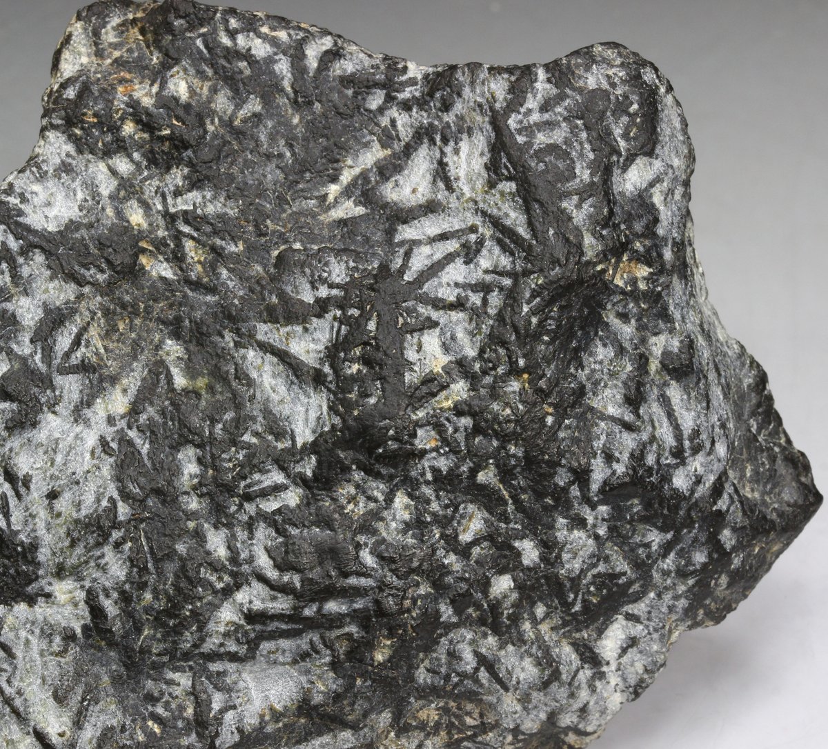透閃石橄欖岩 Tremolite peridotite 茨城県常陸太田市 竹葉石、笹目石