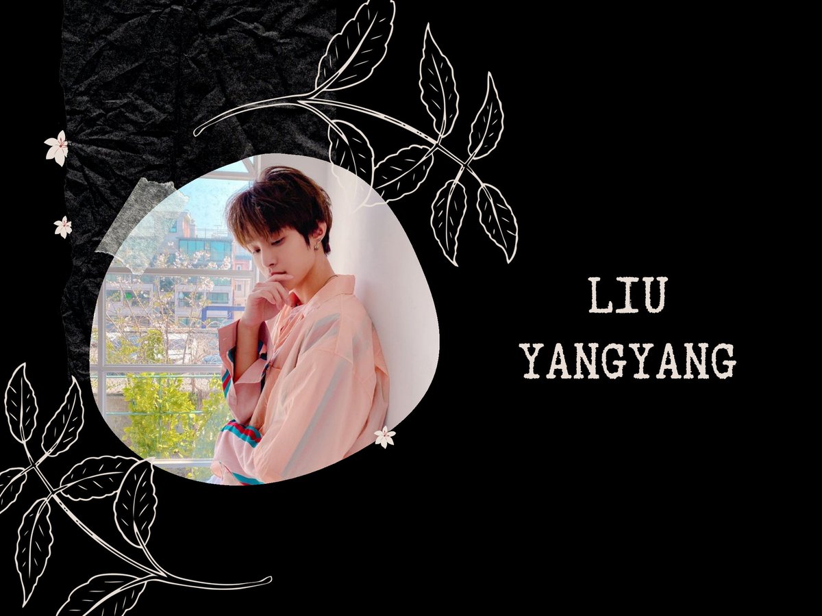 yeonybxby's tweet photo. ⋆ ʟɪᴜ ʏᴀɴɢʏᴀɴɢ https://t.co/gzgU1QXnVR