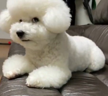 sehunisoh's tweet photo. @jisootale very cute! Vivi is busy pls don't disturb him 🤣 https://t.co/7xAMOT6A02