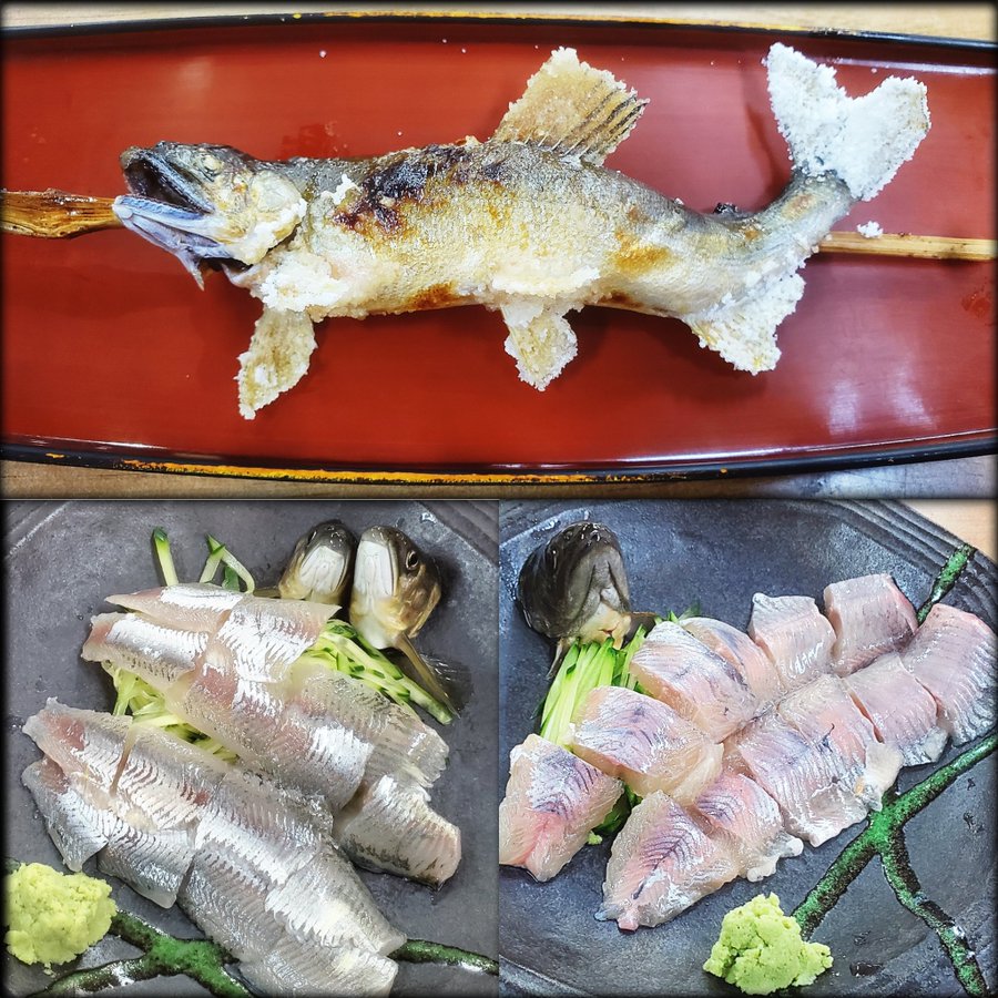 川魚 鮎 は刺身で食べれる 寄生虫の危険性は 冷凍保存の仕方も解説 ちそう