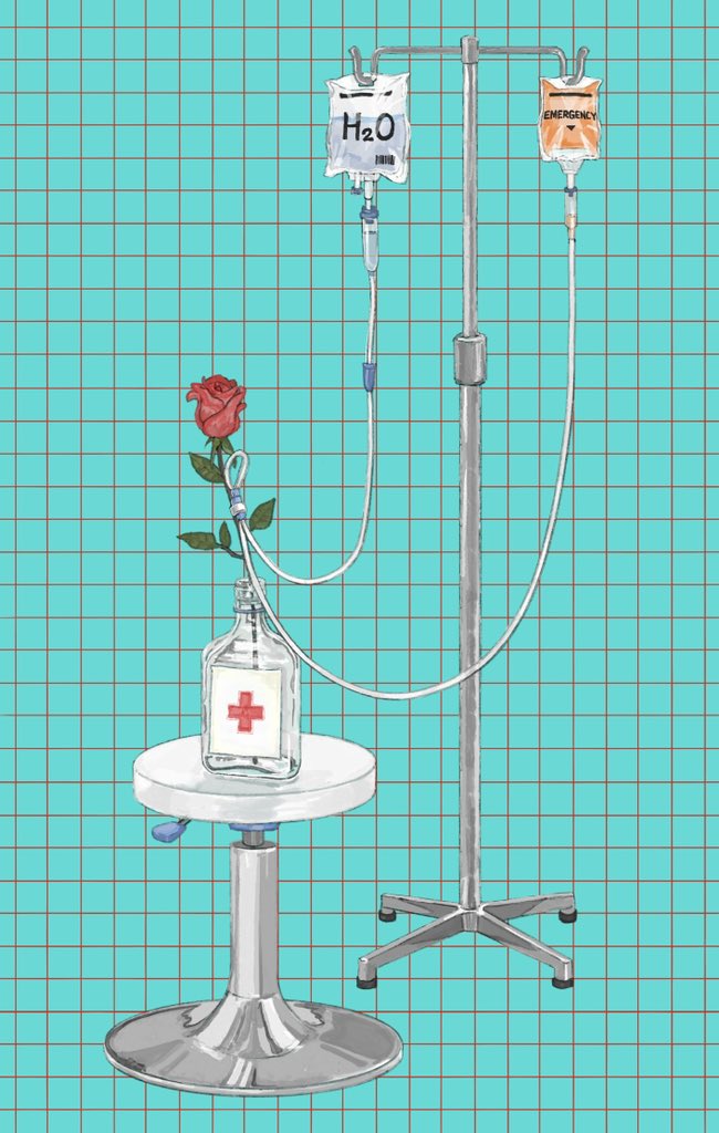 intravenous drip no humans flower rose red flower red background red rose  illustration images