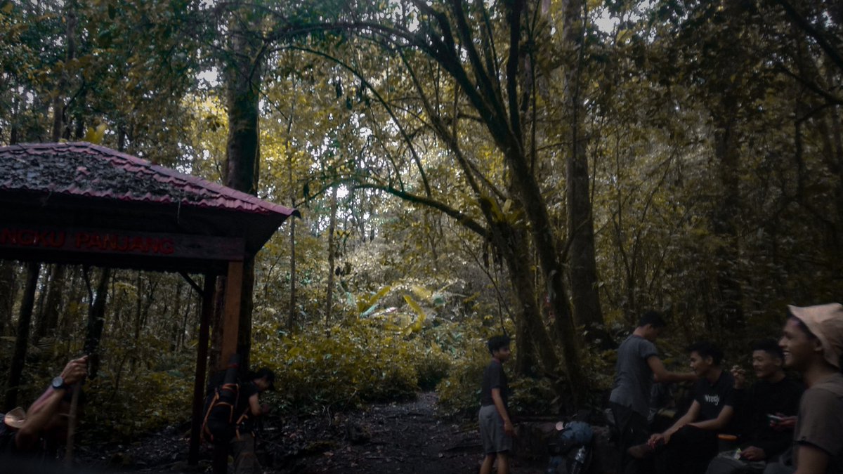 ApriRahadi's tweet photo. Malam minggu di alam bebas apalagi di gunung enak kali, ya gak lur ?? xixi😂
#atapnegeri #markicabs #gunungkerinci #pos1bangkupanjang #StayActive #malamminggu #Throwback #atapsumatra https://t.co/kPCu7SLnnq