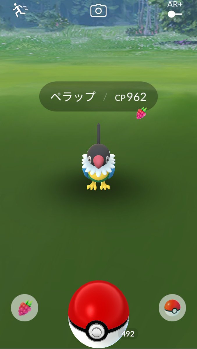 ポケモンgo ペラップの入手方法 能力 技まとめ 攻略大百科