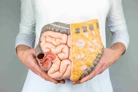 WRIGHTFoundUK's tweet photo. Systematic review investigated the relationship between changes in #visceral and #subcutaneous adipose tissue areas with changes in total body fat compared across different #calorie restriction diets and #exerciseinterventions:

https://t.co/0DbGUhv6eX https://t.co/otaVO48qnk
