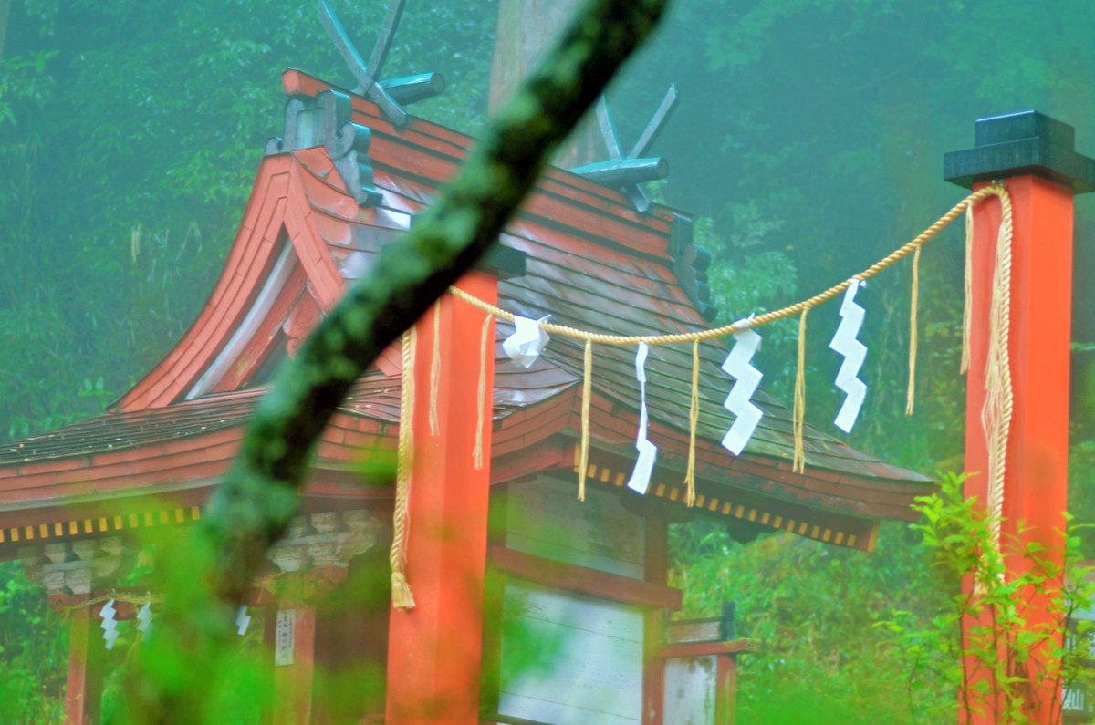 aozoranon's tweet photo. 潤いに包まれて、夏の光を待ちわびていました。 #japan #nara #uruoi #tsutsumarete #natu_no_hikari #aozoranoiro #nikon #tamron #sp90 #tanzanjinja https://t.co/R2nxSEu5ZS
