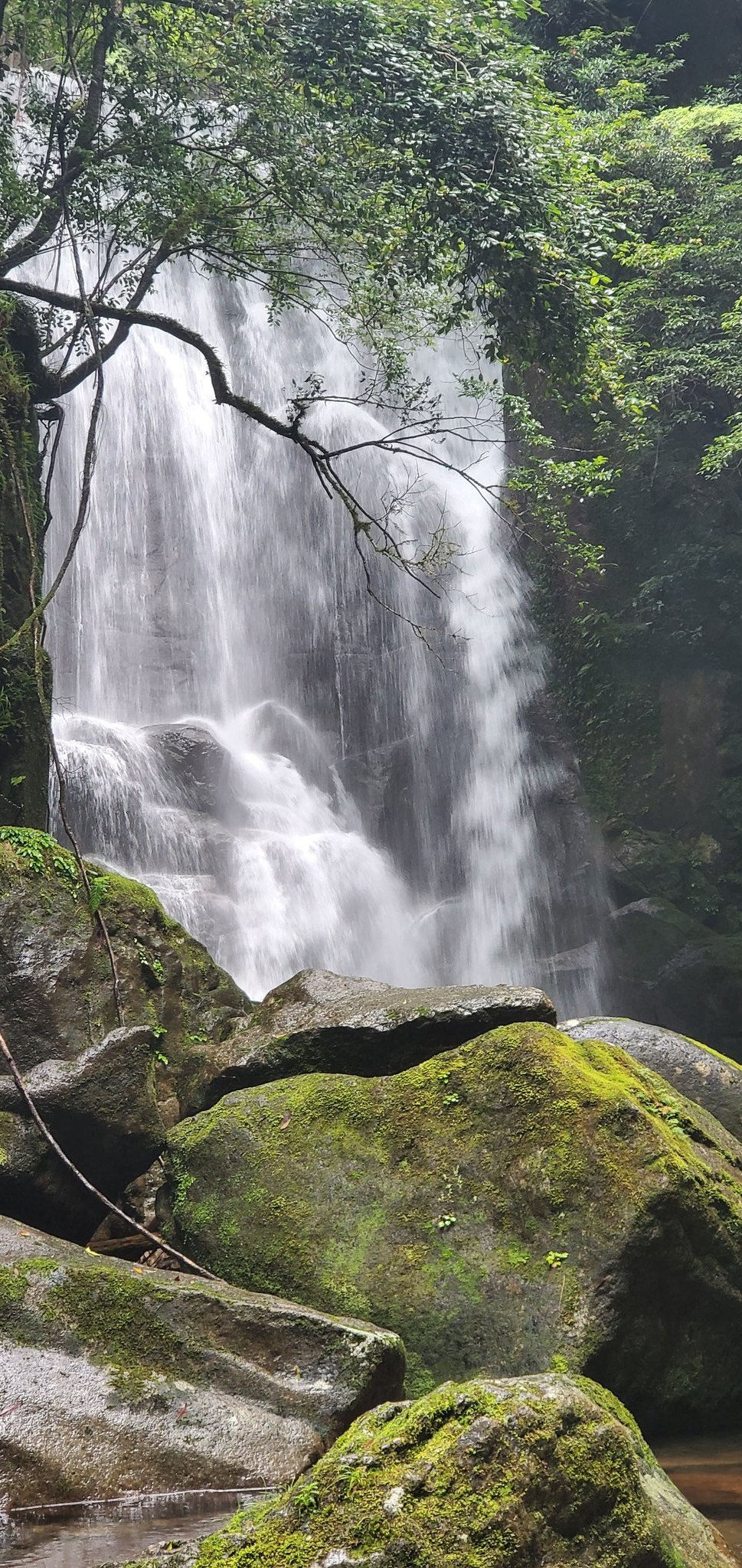 桑ノ木の滝 Twitter Search Twitter