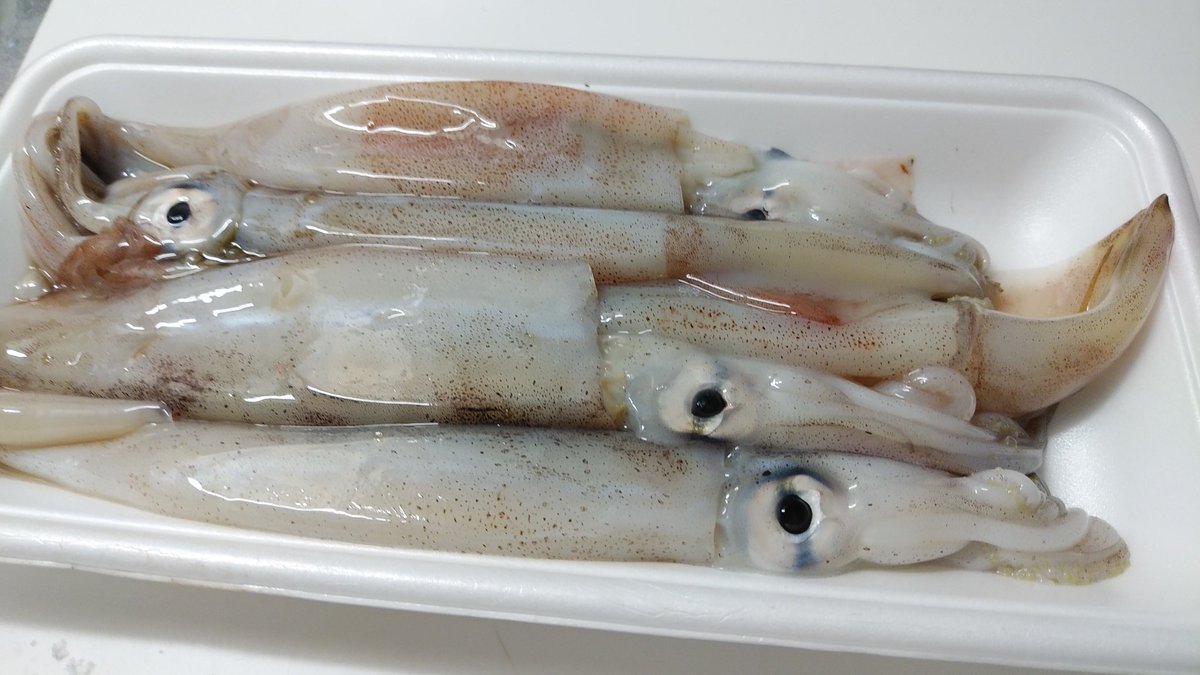 地酒道楽 酒菜家 イカもさばきます