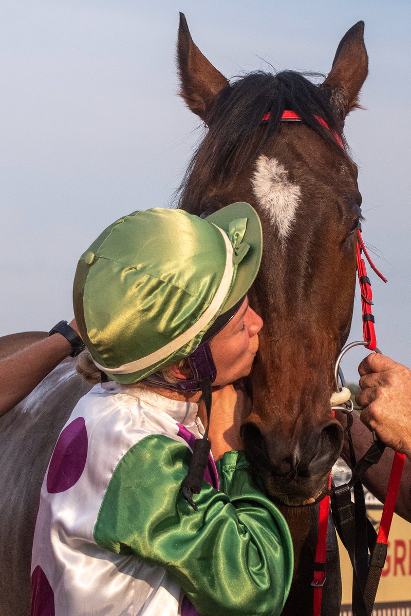 Darwin Turf Club tweet media