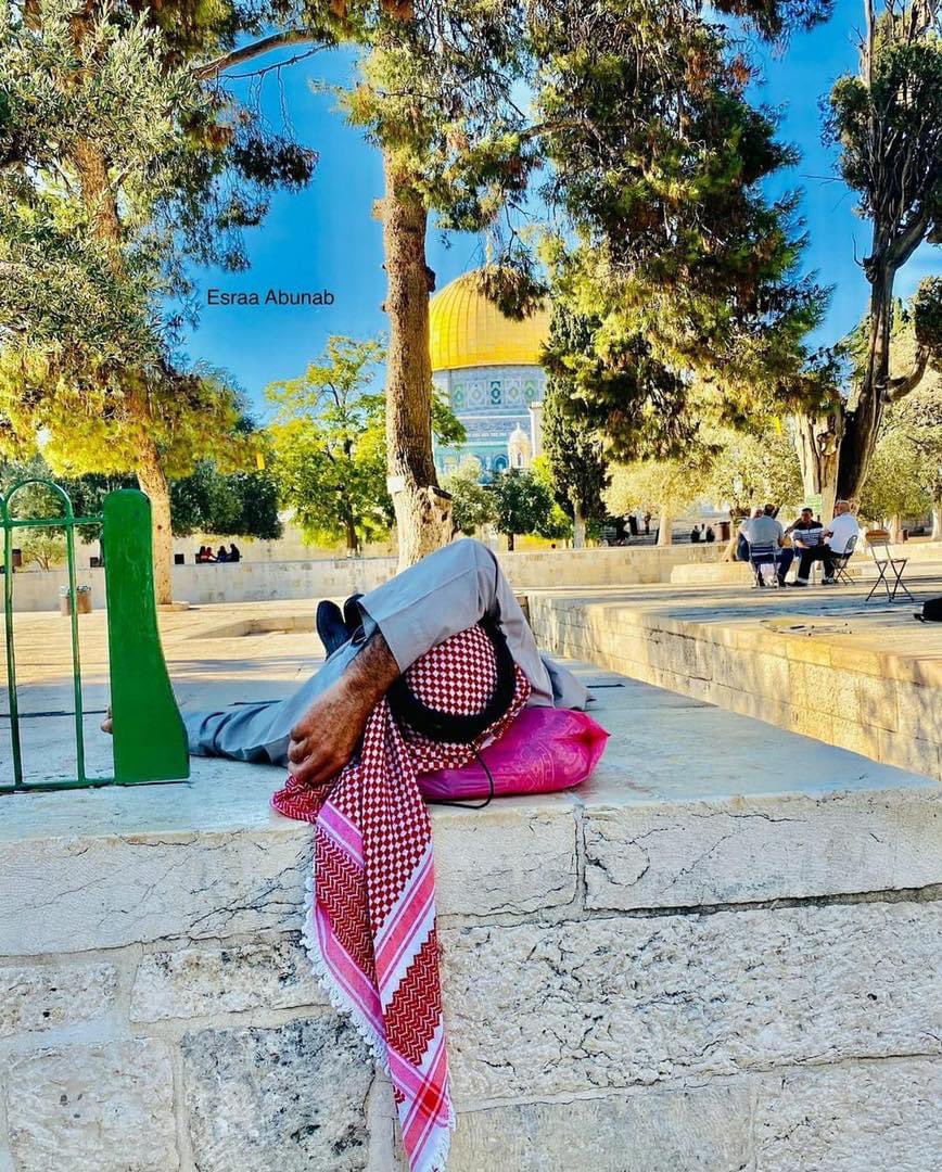 MyPalestine0's tweet photo. لا يجدُ راحته إلا في رحاب المسجد الأقصى. https://t.co/l4UXyKghhX