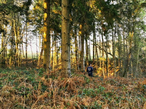 Kelly & Adam | The Wilder Route tweet media