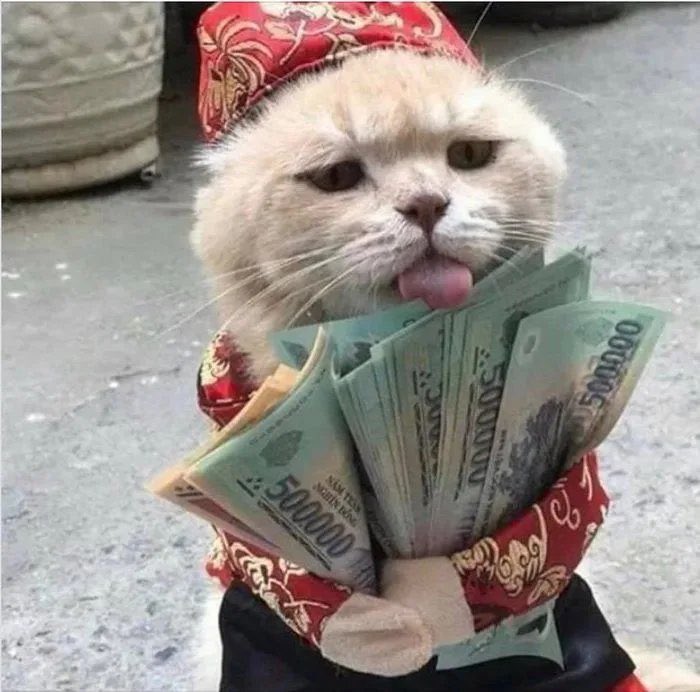 Это денежный кот

Ретвитни его и в ближайшие дни станешь богаче