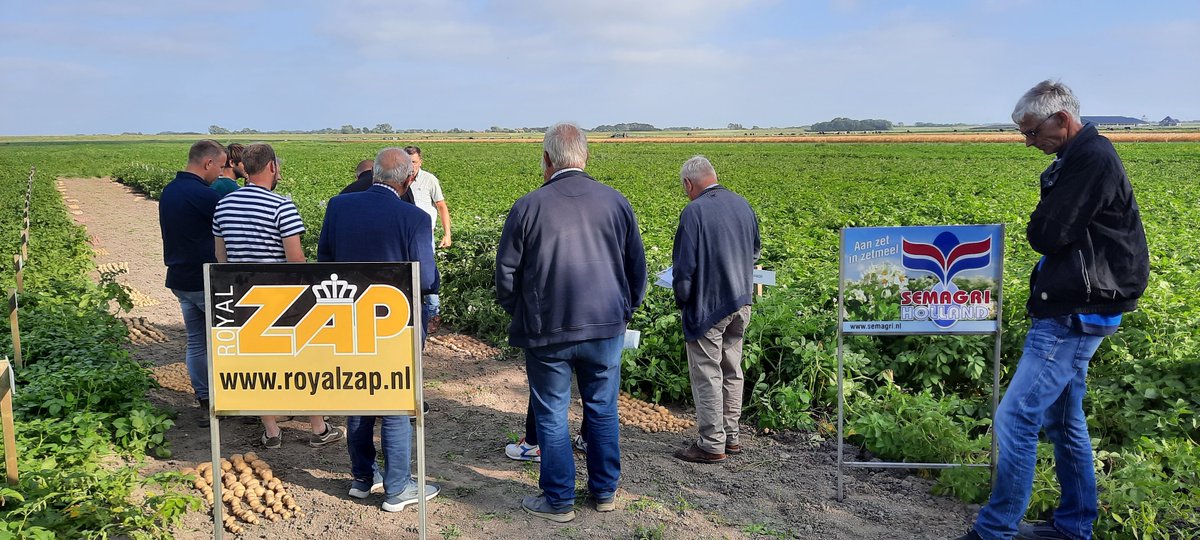 ZAPSemagri's tweet photo. Leden en telers vergaderingen voor Royal ZAP & Semagri. #future
Extreem natte weersomstandigheden de afgelopen weken in Burgerbrug, brengt ons toch een mooie opbrengt om te beoordelen #demofield #seedpotatoes #potato #starch #harvest2021 https://t.co/m9i0kHCrGD