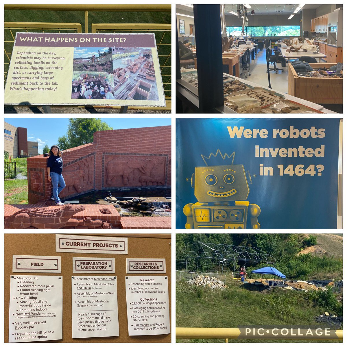 cruzteach's tweet photo. Kingsport definitely did not disappoint! After finishing our mini teacher ROV competion, we explored @visithandson @GrayFossilSite before being lucky enough to run into @KptFunFest in dt Kingsport…this little town is surely a diamond hidden in the mountains of TN #watergame https://t.co/PP0wxsAoOU