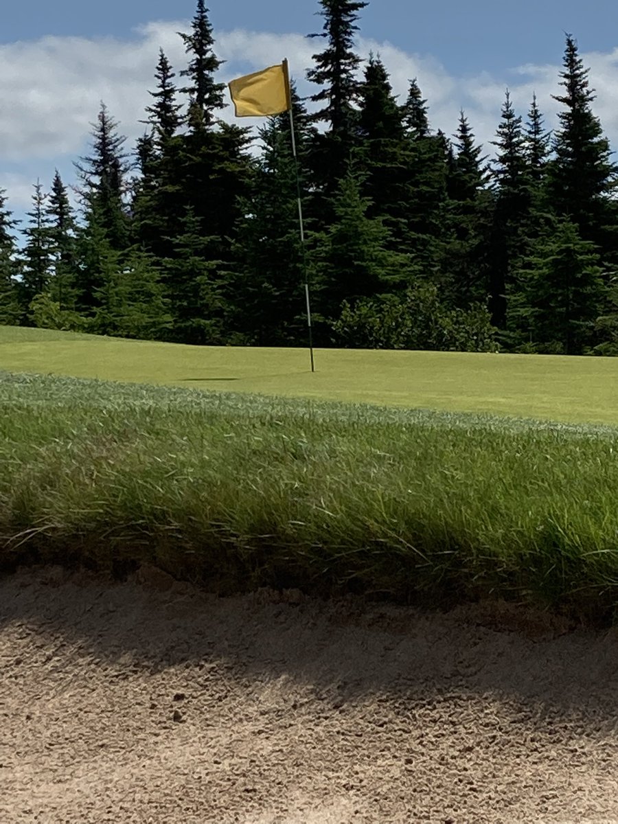 Scott Sleep (@scottsleepy) on Twitter photo I don’t always post on Twitter but if I do going forward there’s a good chance I’m taking a picture <a href="/GlendenningGolf/">Glendenning Golf</a> lying down on the turf. Seeing the course from an earth worm perspective. I don’t always post on Twitter but if I do going forward there’s a good chance I’m taking a picture <a href="/GlendenningGolf/">Glendenning Golf</a> lying down on the turf. Seeing the course from an earth worm perspective.