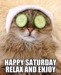 MewTheCatCoin's tweet photo. https://t.co/aBylrHA0Fx