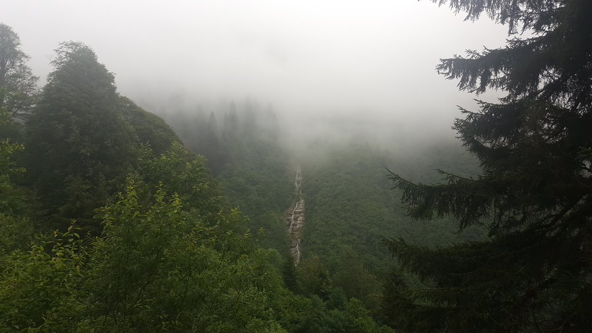 AYHAN DOĞAN (@ayhandogan06) on Twitter photo 