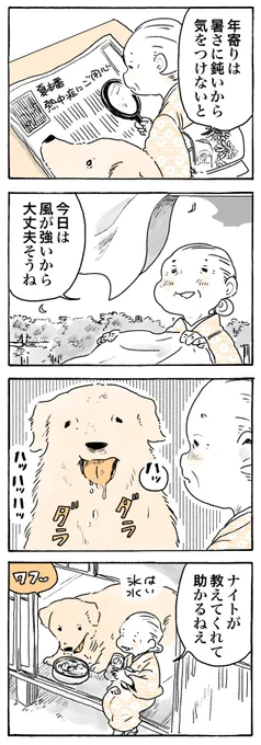 熱中症にご注意を☀️

#姫ばあちゃんとナイト
(単行本発売中!📖) 