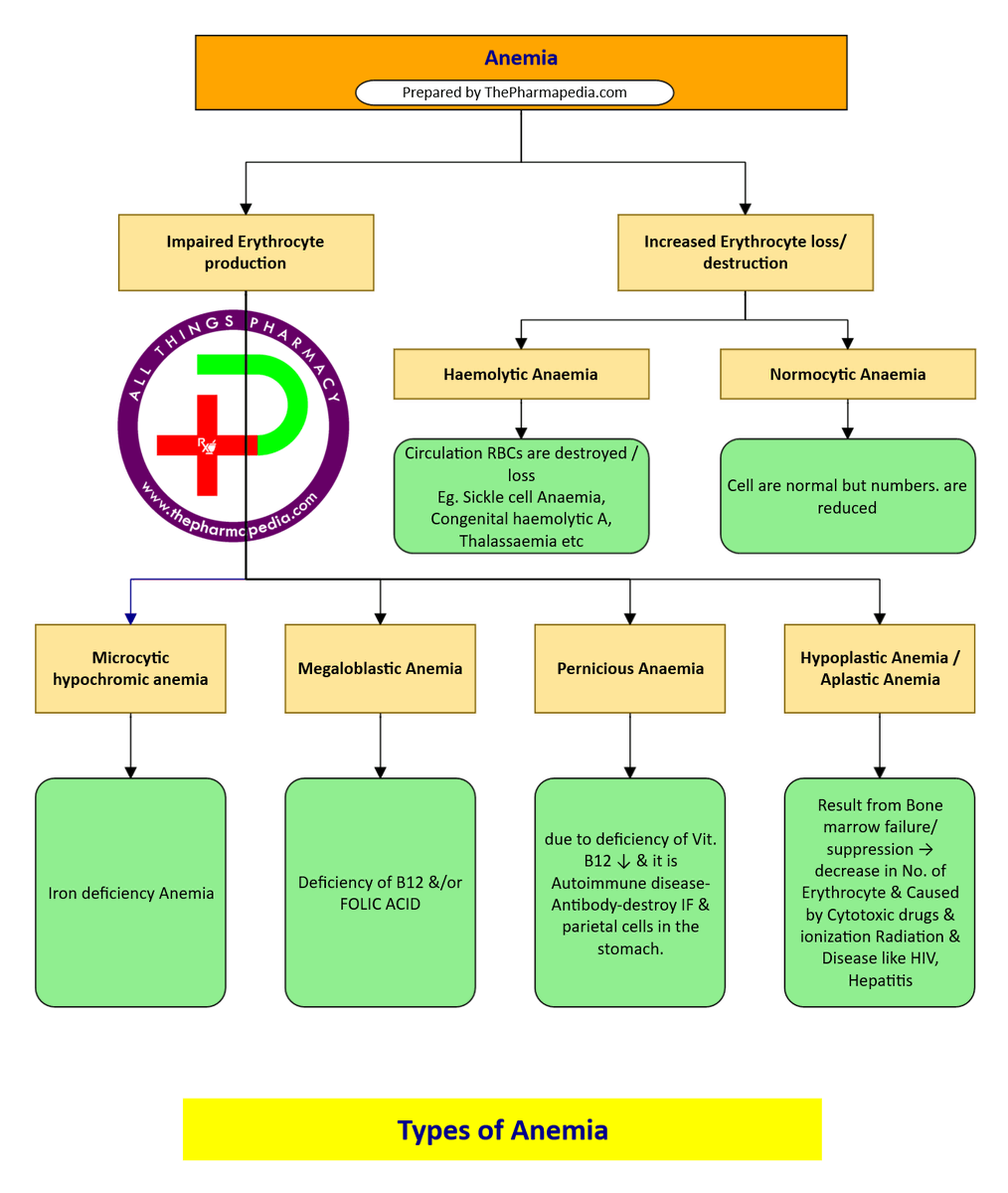 TPharmapedia's tweet photo. #Anemia #TypeofAnemia #Pharmacology #Pharmacynotes #Thepharmapedia https://t.co/6wGcr55HIR