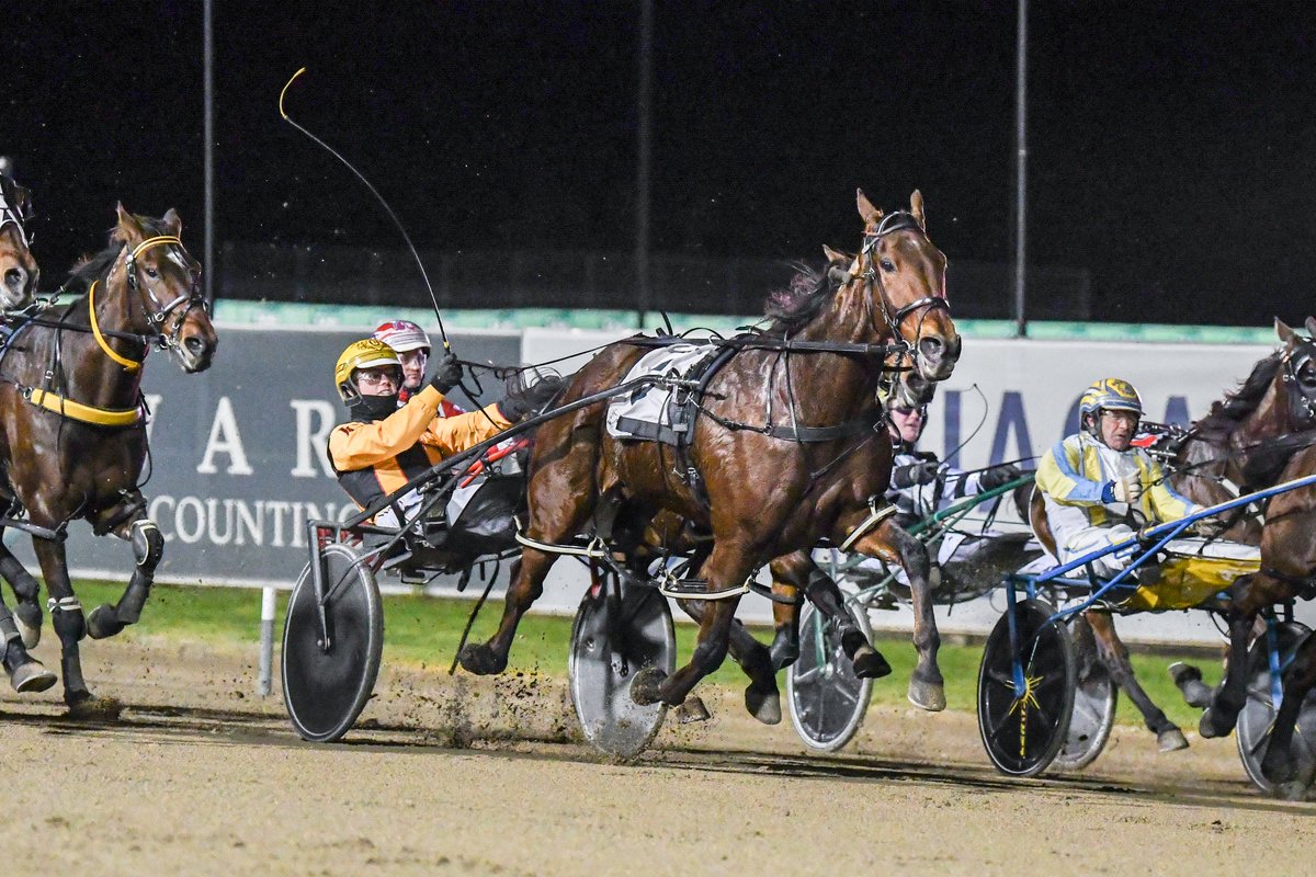 𝗩𝗜𝗖 𝗙𝗥𝗢𝗦𝗧 𝗙𝗙𝗔 (𝗚𝗥𝗢𝗨𝗣 𝟯)

🐴CASH N FLOW NZ
𝗧𝗥𝗔𝗜𝗡𝗘𝗥: Belinda McCarthy
𝗗𝗥𝗜𝗩𝗘𝗥: Jack Callaghan
📹www-harness-org-au.akamaized.net/nsw/PCM1707210…