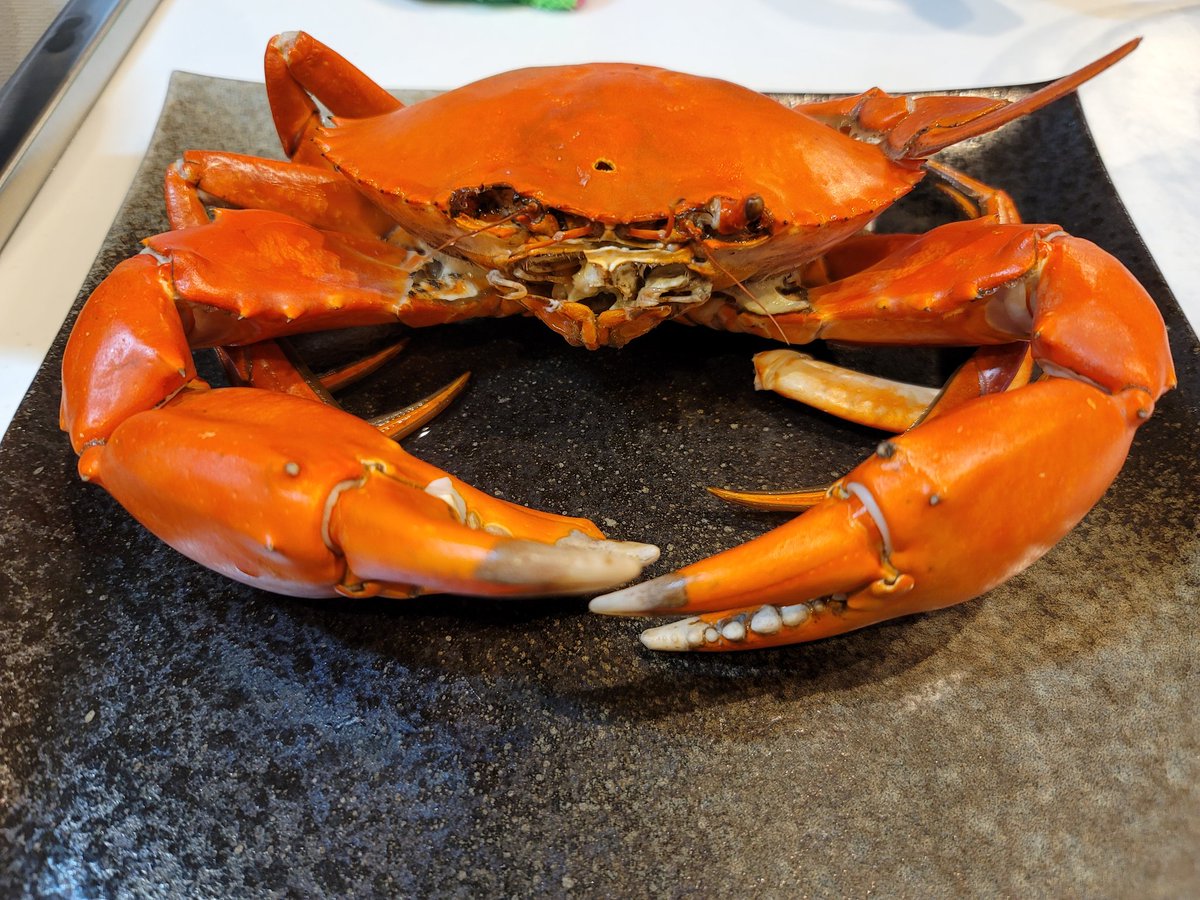 トゲノコギリガザミ