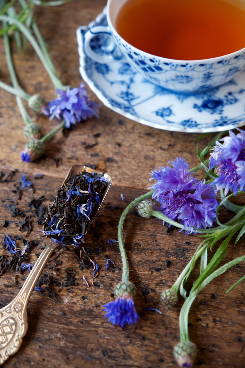 紅茶専門店teapond Teapond Twitter 紅茶専門店teapond Teapond Twitter