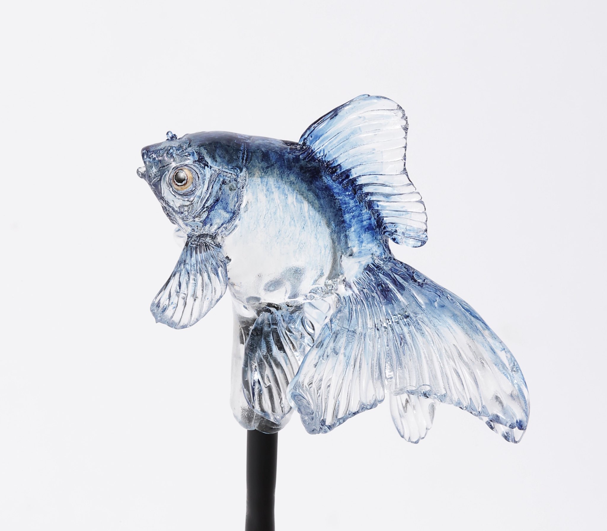 Twitter 上的 浅草 飴細工 アメシン いつもとは違う 青い金魚はいかがでしょうか 青文魚などの青い金魚をモチーフに 涼しげな藍色の 金魚をお作りしました 期間限定でソラマチ店で販売中です 東京スカイツリータウンでは 夏休みに様々なイベントが予定され