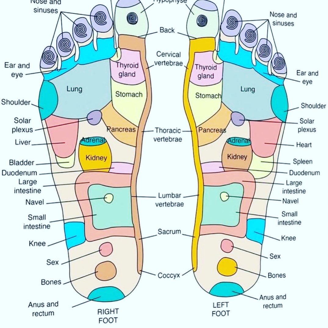 Difficult week? Treat yourself to a foot massage.!!!

Do you know that according to reflexology, the ball of the foot relates to the lungs??

#selfmassage #selfcare #chronicillness #bronchiectasis #copd #respiratorytherapy