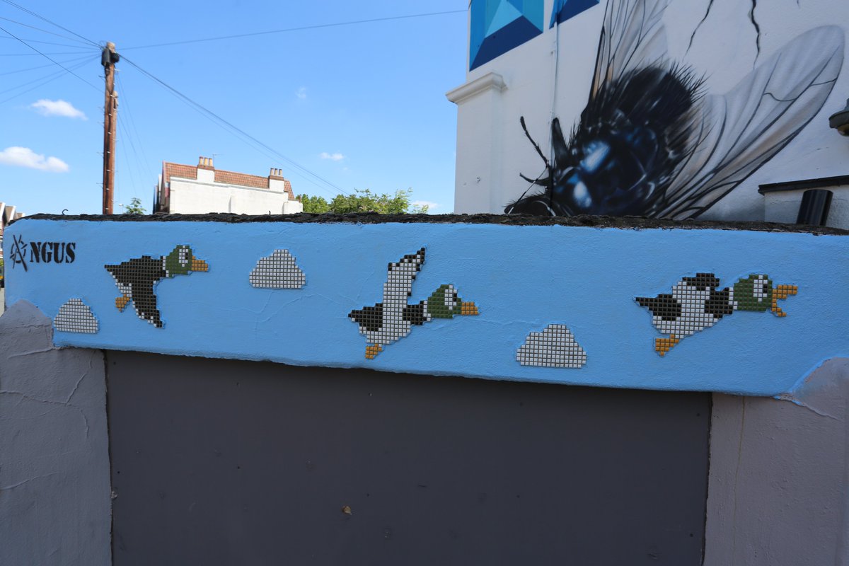 Another one of the 75 walls in 75 days completed! 

Three ducks by <a href="/AngusArt85/">Angus</a> on the <a href="/HenAndChicken/">Hen&Chicken-Bristol</a>, make sure to check it out! 

#75walls #BristolStreetArt