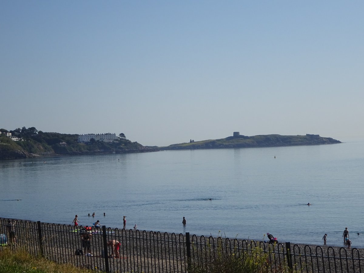 Open Sea Swims tweet media