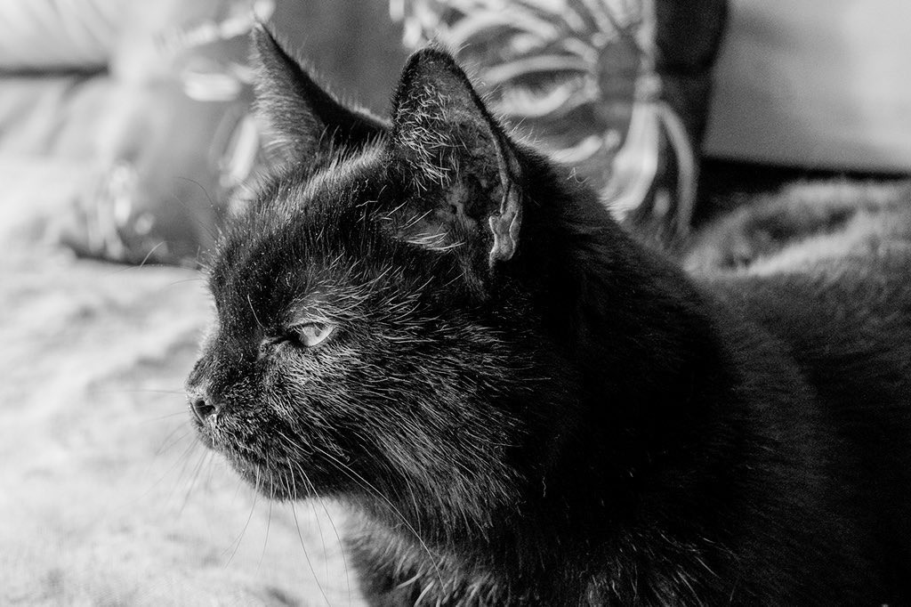 Marjorie Nash tweet media