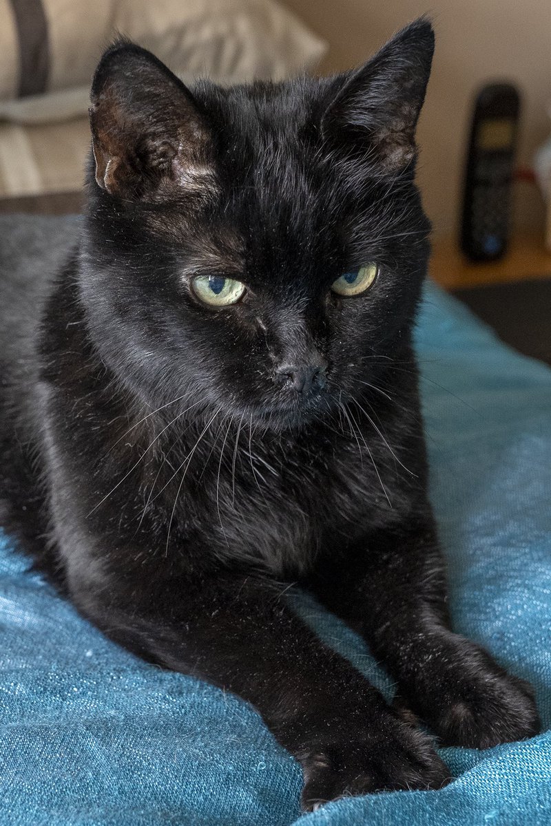 Marjorie Nash tweet media