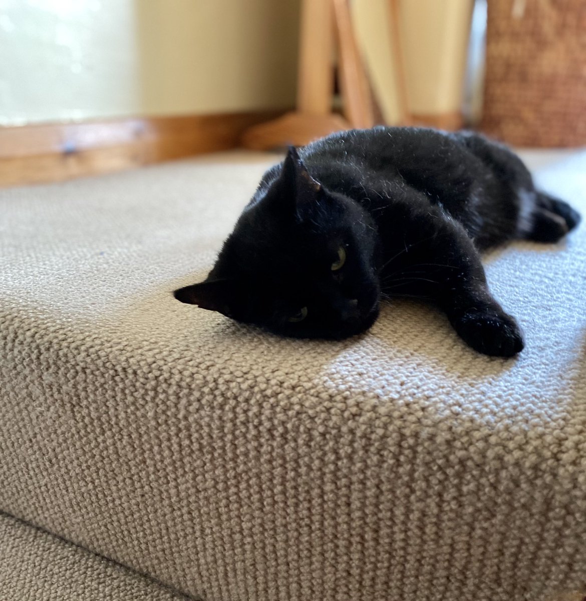 Marjorie Nash tweet media