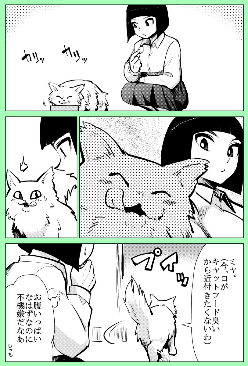 キャットタン 
