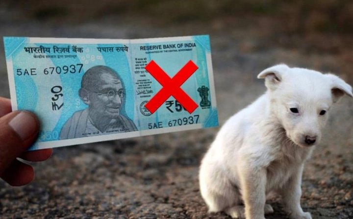 TusharSapkale4's tweet image. If i get killed 
Fine is just rupes 50 ₹ 
End animal sacrifice in India. #DeleteSection28 of The #PCAact
